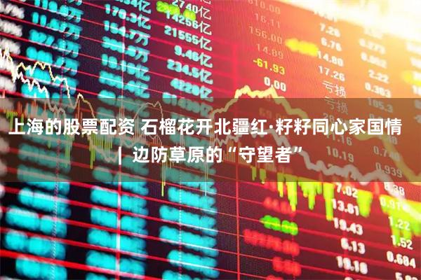 上海的股票配资 石榴花开北疆红·籽籽同心家国情  |  边防草原的“守望者”