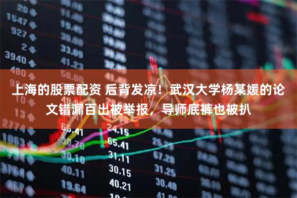 上海的股票配资 后背发凉！武汉大学杨某媛的论文错漏百出被举报，导师底裤也被扒