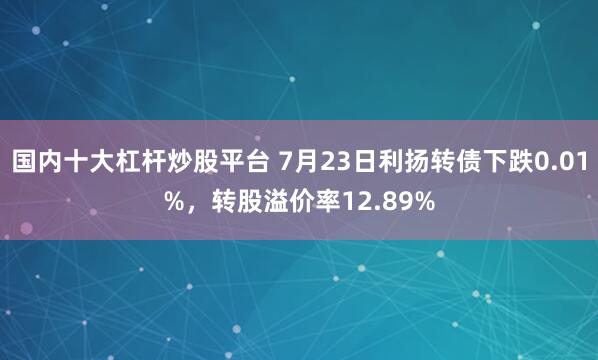 国内十大杠杆炒股平台 7月23日利扬转债下跌0.01%，转股溢价率12.89%