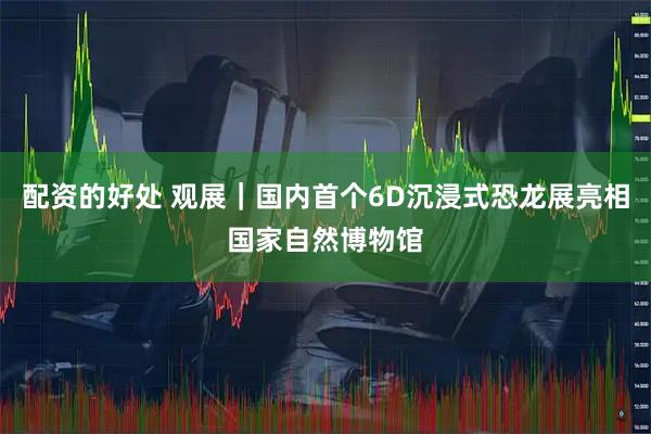 配资的好处 观展｜国内首个6D沉浸式恐龙展亮相国家自然博物馆